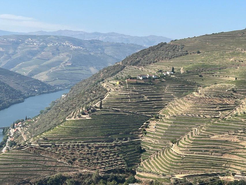 Douro Valley-Expert Guide-Boat-Lunch-Tastings PremiumService - Is $234 per person good value?