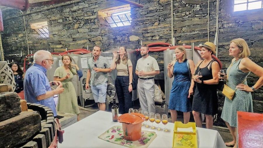 Douro Valley-Expert Guide-Boat-Lunch-Tastings PremiumService - The morning route through Pinhão and Peso da Régua