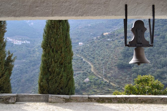 Douro Valley Tour: 2 Vineyard Visits, River Cruise, Winery Lunch - The return to Porto