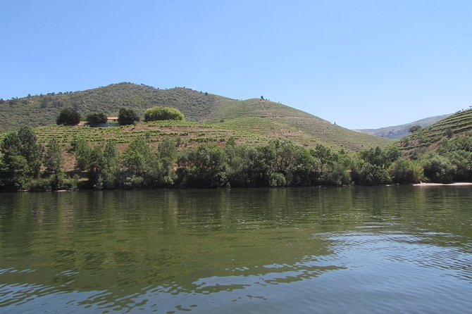 Douro Valley Tour: 2 Vineyard Visits, River Cruise, Winery Lunch - First winery stop near Lamego