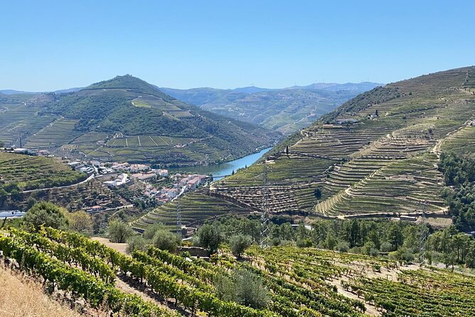 Douro Valley Tour - 3 Wine tastings, Lunch & river Cruise - What the $149.95 price includes