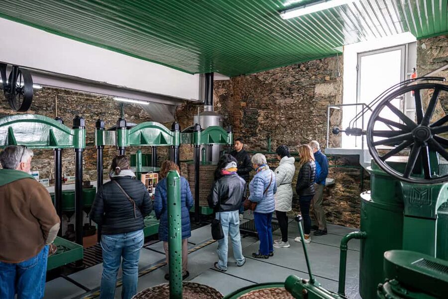 Douro Valley Tour: Visit 2 Wineries, Lunch & River Cruise - Who should book this Douro day trip?
