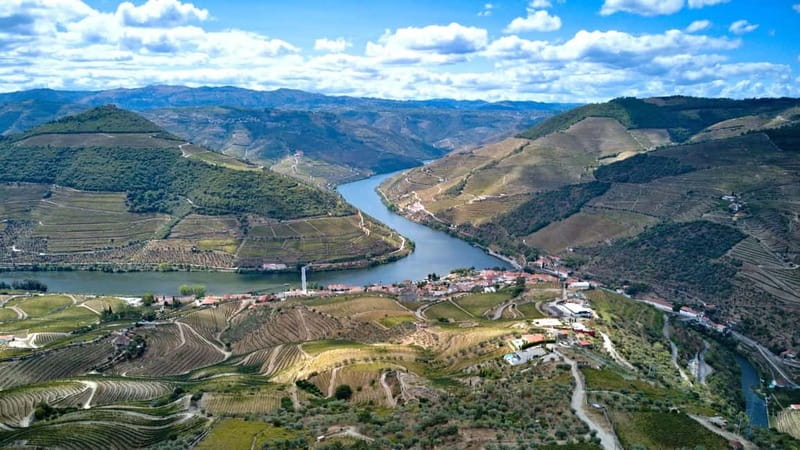 Douro Valley Tour: Visit 2 Wineries, Lunch & River Cruise - Lunch is more than a convenient stop