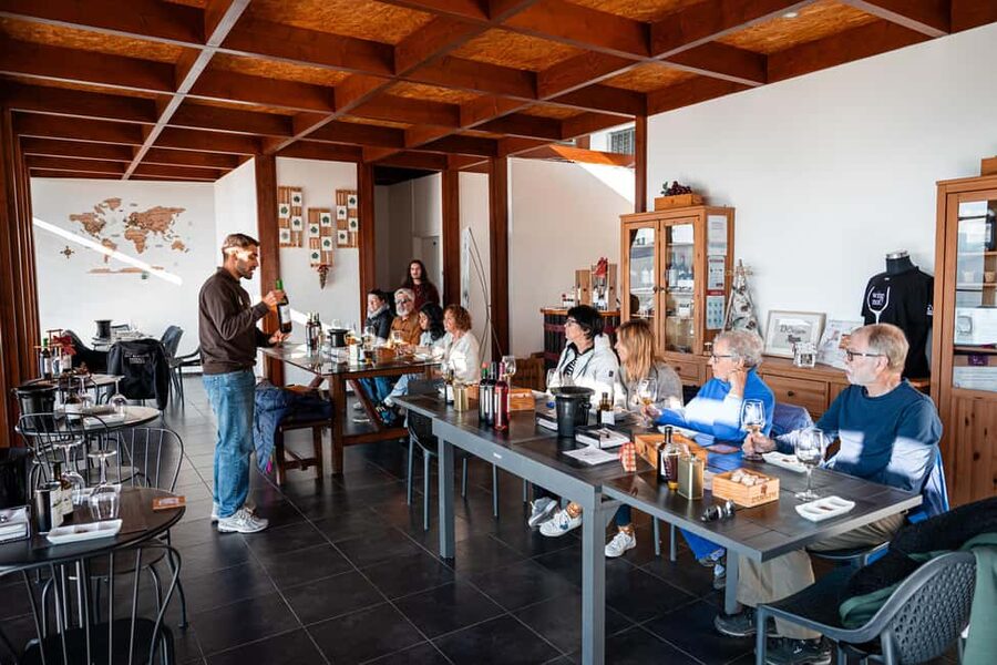 Douro Valley Tour: Visit 2 Wineries, Lunch & River Cruise - The N222 return and the final photo stops