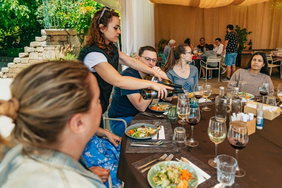 Douro Valley: Wine Tour with Lunch, Tastings & River Cruise - Key points to know before booking