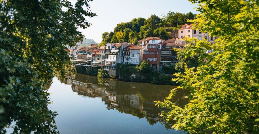 Douro Valley: Wine Tour with Lunch, Tastings & River Cruise - Should you book the Douro Valley tour?