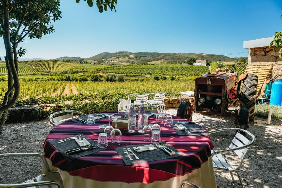 Douro Valley: Wine Tour with Lunch, Tastings & River Cruise - Two wine estates, two different moods