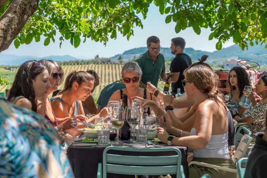 Douro Valley: Wine Tour with Lunch, Tastings & River Cruise - The scenic N222 ride back to Porto
