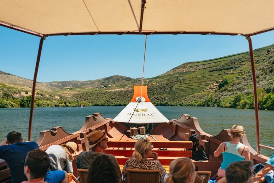 Douro Valley: Wine Tour with Lunch, Tastings & River Cruise - What the $113 price really buys you