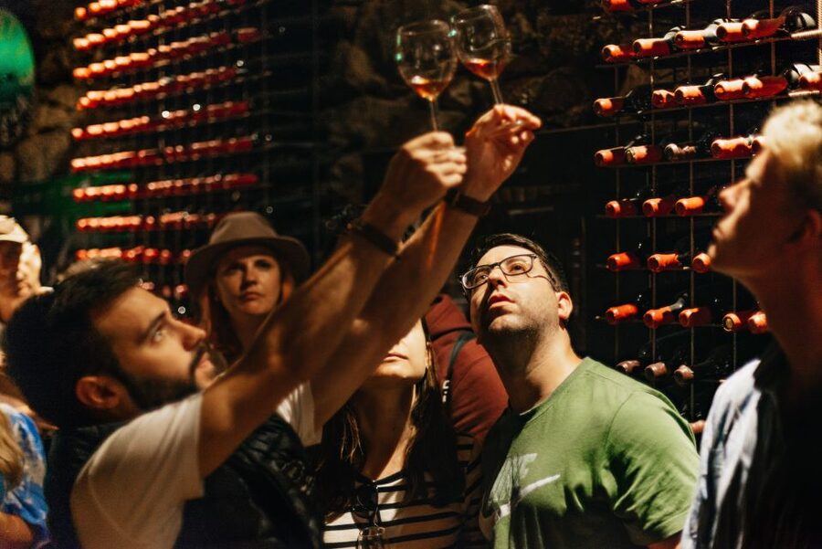Douro Valley: Wine Tour with Lunch, Tastings & River Cruise - Who should book this experience