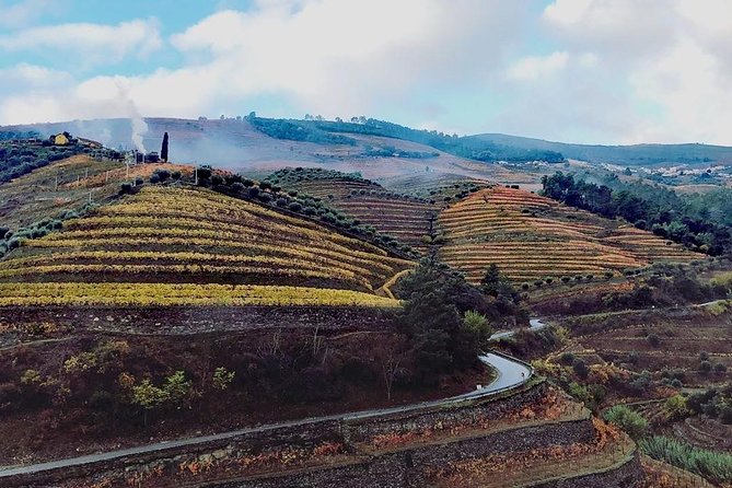 Douro Valley with Two Winery, Boat Trip and Lunch From Porto - Key points to know