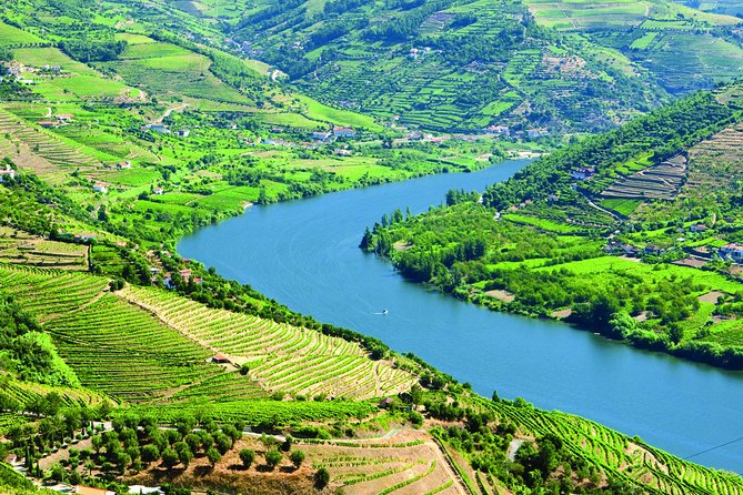 Douro Valley with Two Winery, Boat Trip and Lunch From Porto - Why this Douro day works so well