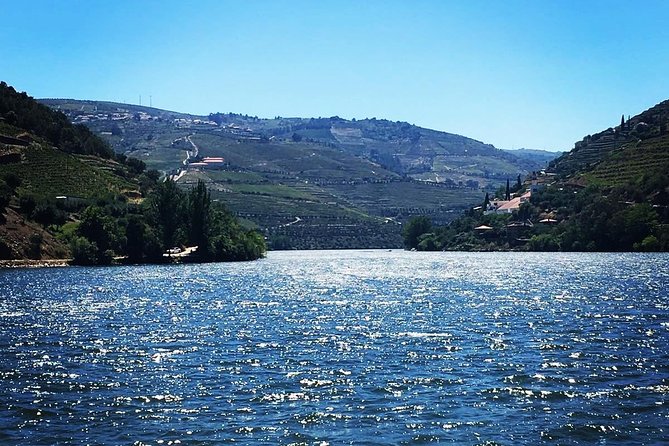 Douro Valley with Two Winery, Boat Trip and Lunch From Porto - Your first Port estate visit