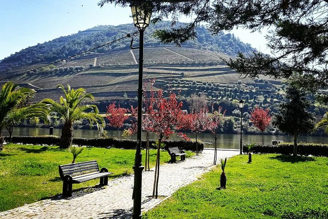 Douro Valley with Two Winery, Boat Trip and Lunch From Porto - Lunch in the Tabuaço area