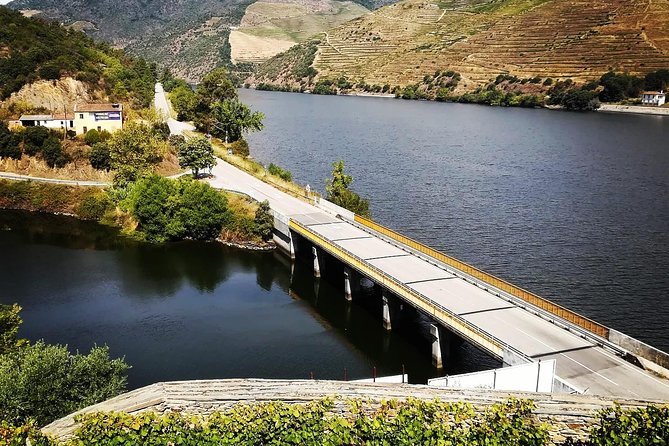Douro Valley with Two Winery, Boat Trip and Lunch From Porto - The small producer and olive oil tasting