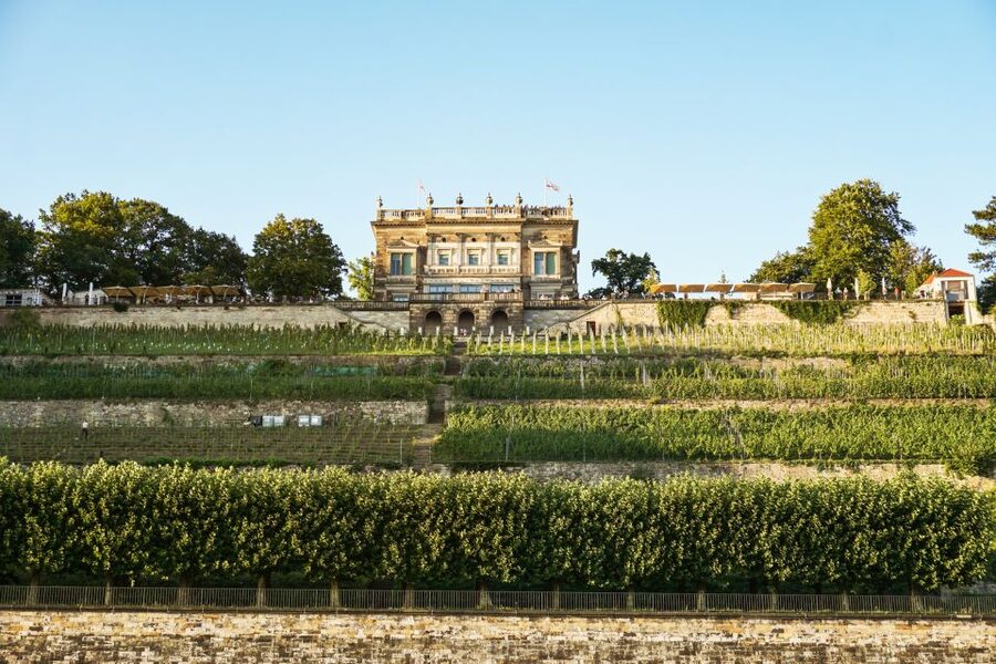Dresden: Elbe River Cruise to Pillnitz Castle - Four bridges, including Dresden’s Blue Wonder