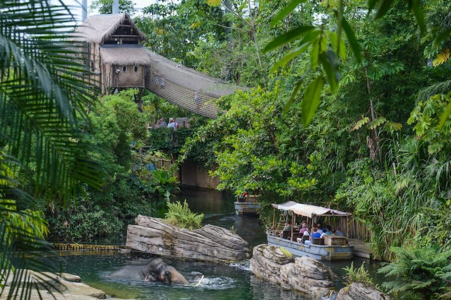 Emmen: Wildlands Adventure Zoo and Rimbula River Boat Ride - Daily presentations add useful context