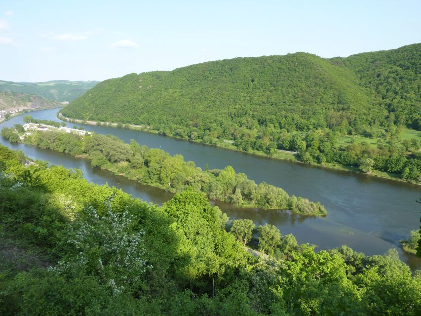 From Alken: Moselle Valley Sightseeing Cruise - Vineyards explain the Moselle’s character
