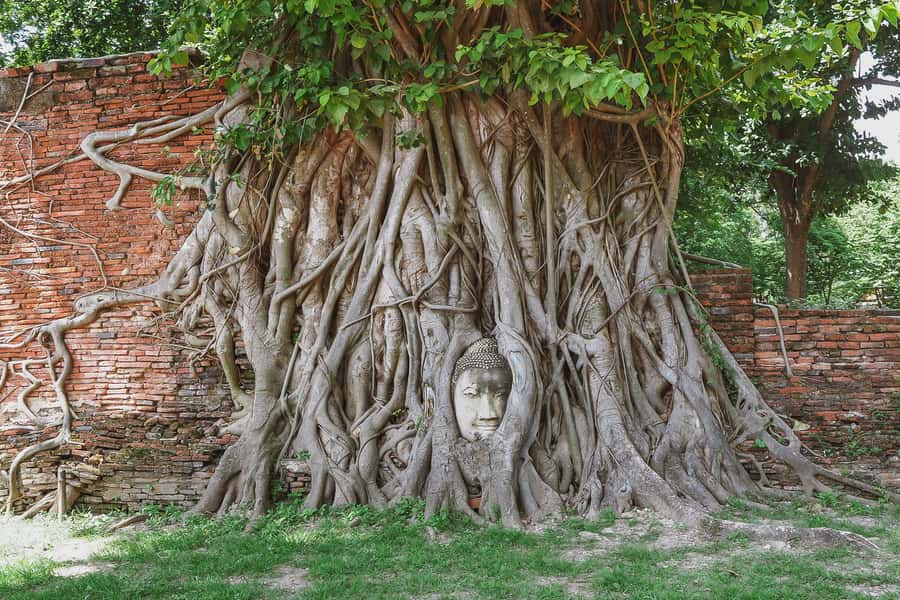 From Bangkok: Ayutthaya Day Tour by Bus with River Cruise - Why this Ayutthaya day trip works