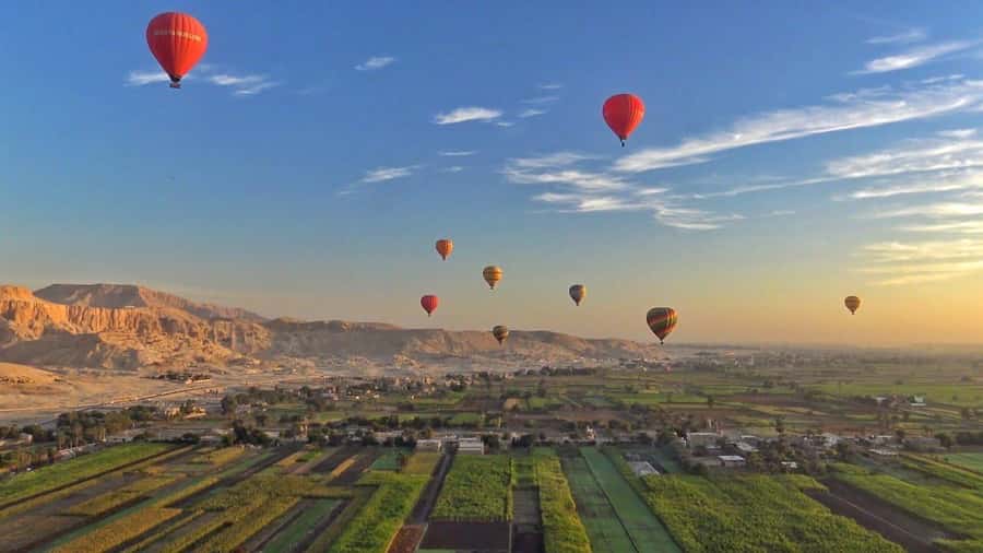 From Cairo: 5-Day Nile Cruise to Aswan & Balloon by Flights - Key points to know before booking