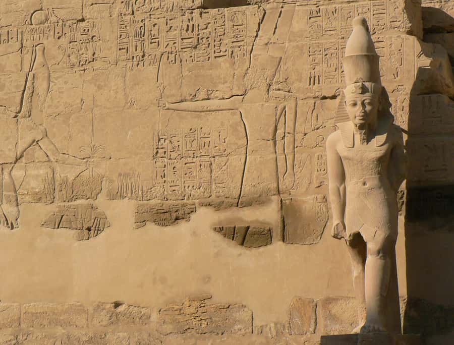 From Cairo: 5-Day Tour with Nile Cruise, Balloon, & Flights - Who will enjoy this five-day route