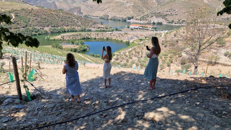 From Gaia Douro Valley Tour Wine Tasting River Cruise Lunch - What the $139 price really includes