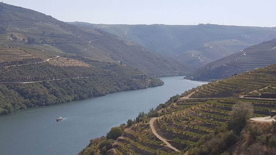 From Gaia Douro Valley Tour Wine Tasting River Cruise Lunch - Wine tasting among the Douro vineyards
