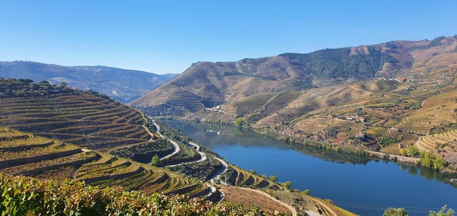 From Gaia Douro Valley Tour Wine Tasting River Cruise Lunch - A short look at Peso da Régua
