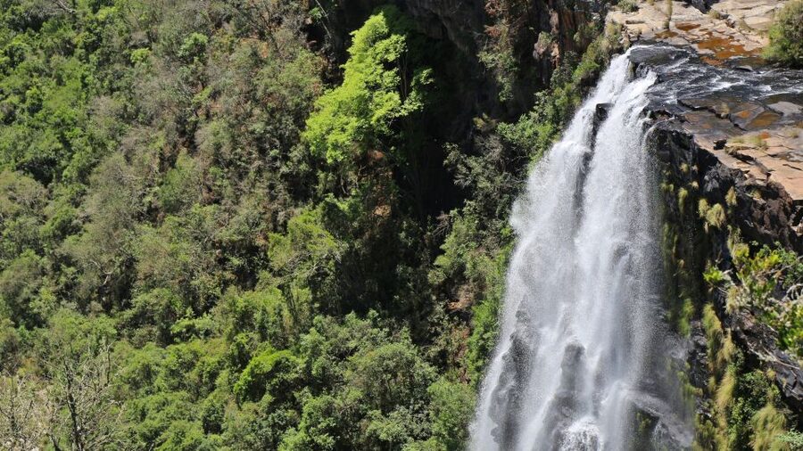 From Hazyview: Blyde River Canyon Highlight & Boat Cruise - Why this Blyde River Canyon day works well