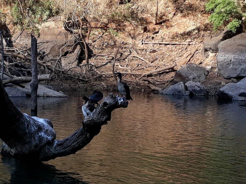 From Hazyview: Blyde River Canyon Highlight & Boat Cruise - The Three Rondavels and their hut-shaped profiles