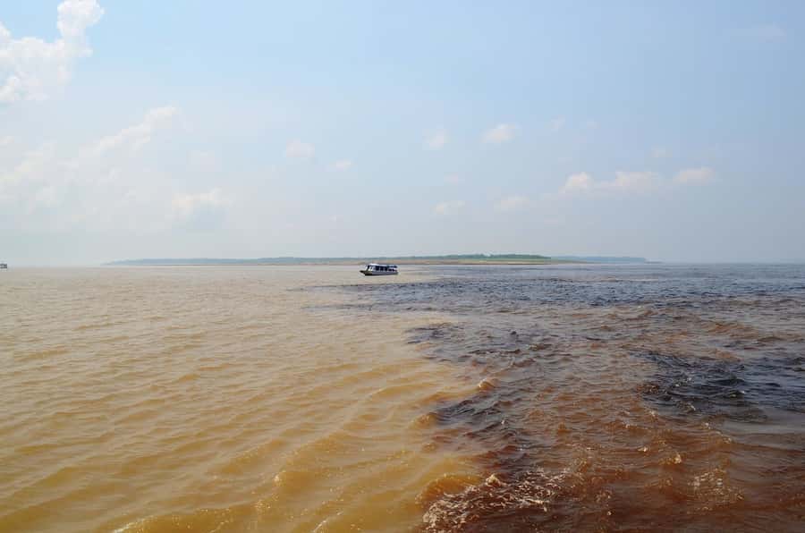 From Manaus: 3 or 4-Day Rio Negro & Anavilhanas River Cruise - Day four: Tupé Beach and an indigenous community