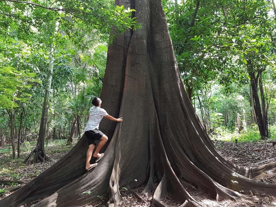 From Manaus: 3 or 4-Day Rio Negro & Anavilhanas River Cruise - Food, language, and the importance of your crew