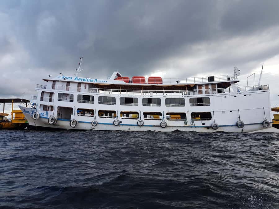From Manaus: 3 or 4-Day Rio Negro & Anavilhanas River Cruise - Day one: Janauri trees, giant lilies, and dolphin water