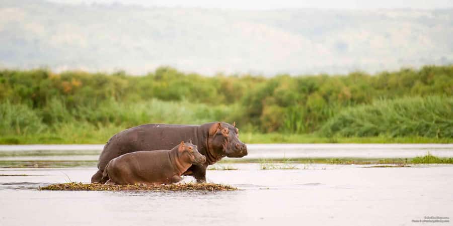From Marloth Park: Sunset River Cruise Safari - The first hour: watching the river come alive