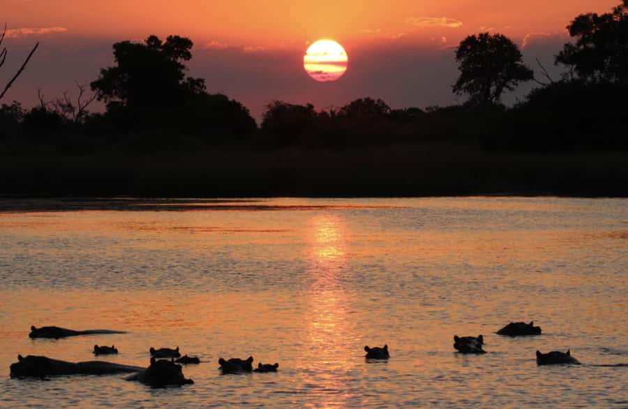 From Marloth Park: Sunset River Cruise Safari - Birdwatching at sunset