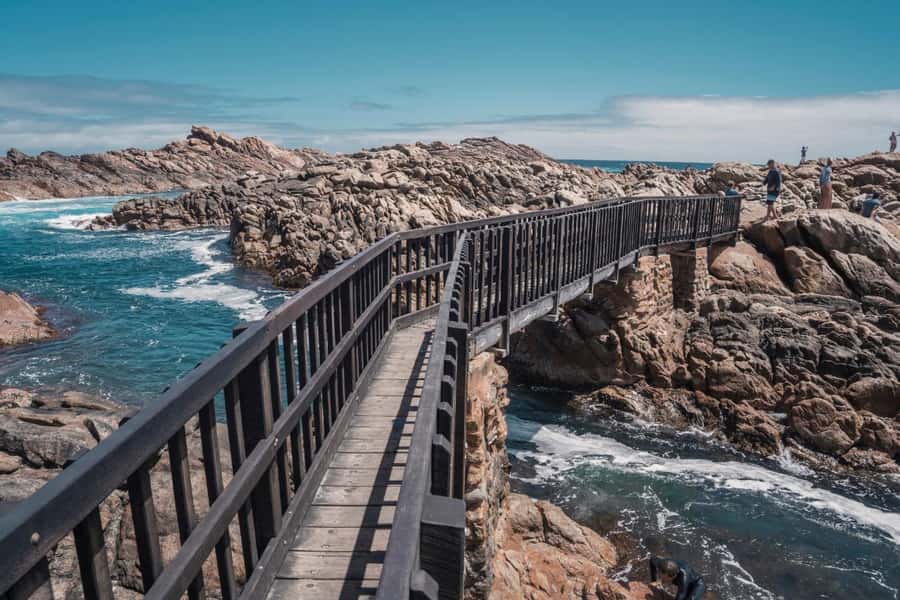 From Perth: Margaret River Wine Tour & Wildlife Cruise - A big Western Australia day from Perth