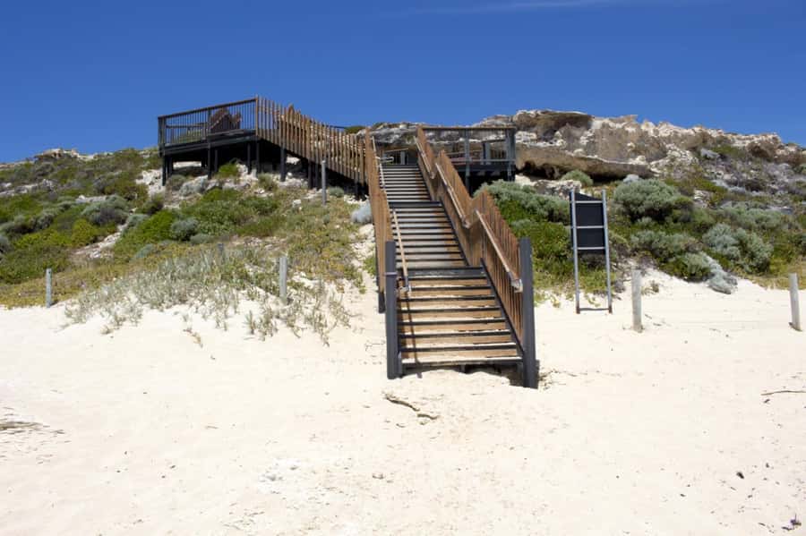 From Perth: Margaret River Wine Tour & Wildlife Cruise - Should you book the Margaret River tour from Perth?