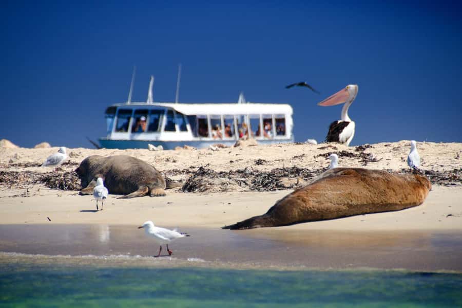 From Perth: Margaret River Wine Tour & Wildlife Cruise - The long run south to Margaret River
