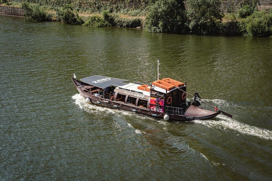 From Pinhão: Douro Valley Rabelo Boat Tour with Audio Guide - What the $17 price really includes