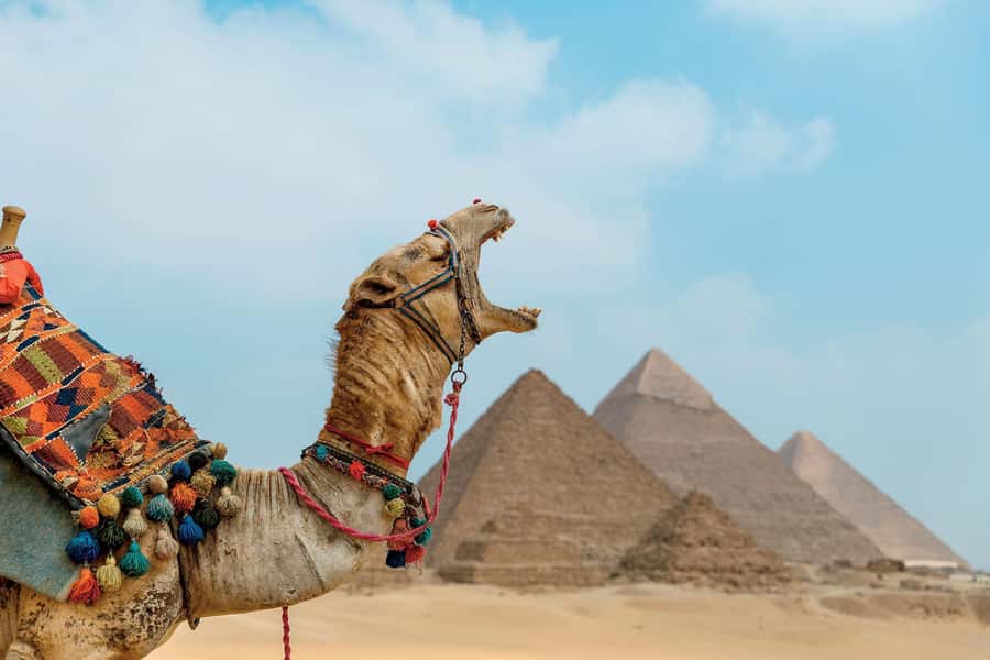 From Port said: Pyramids, Lunch Cruise, & Papyrus Institute - Key points to know before booking