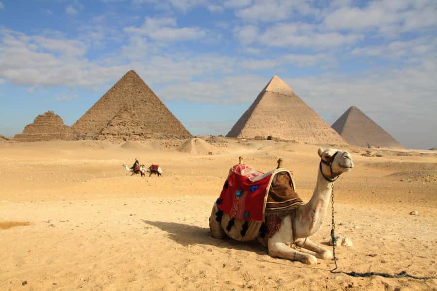 From Port said: Pyramids, Lunch Cruise, & Papyrus Institute - Who should book this day trip?