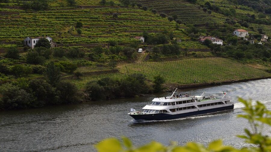 From Porto: Douro River Cruise, Winery Visit & Lunch - Breakfast and lunch on board