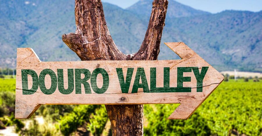 From Porto: Douro Valley w/ Boat Tour, Wine Tasting & Lunch - A seated Douro lunch with wine