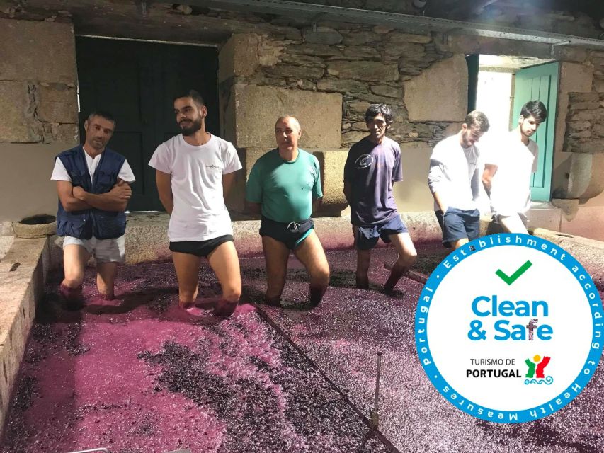 From Porto: Private Douro Valley Tour with Cruise and Wine - Two wine estates, two sides of Douro wine
