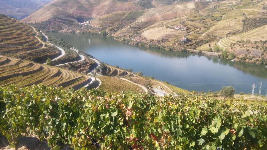 From Porto: Private Douro Valley Tour with Cruise and Wine - Lunch with a view, but budget separately