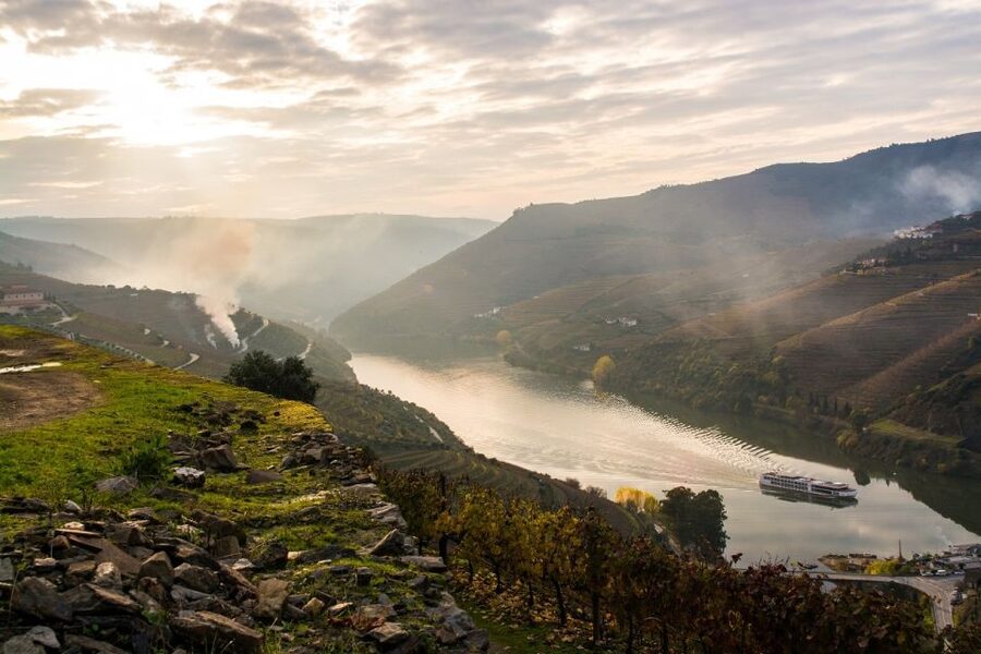 From Porto: Régua to Porto River Cruise with Lunch on Board - Practical value at $84