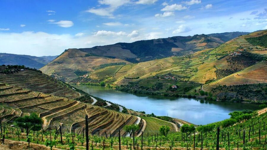 From Porto: Régua to Porto River Cruise with Lunch on Board - Why the Douro makes such a good day out from Porto