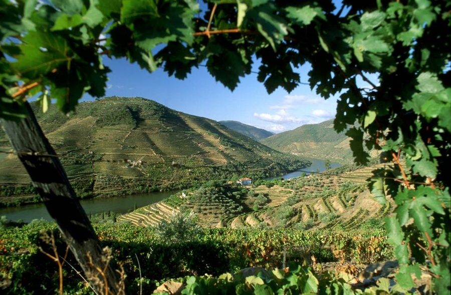 From Porto: Régua to Porto River Cruise with Lunch on Board - Régua and the start of the six-hour cruise