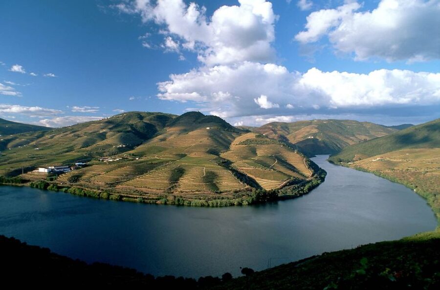 From Porto: Régua to Porto River Cruise with Lunch on Board - The Douro vineyards from the water