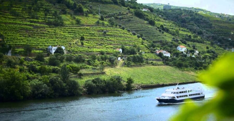 From Porto: Régua to Porto River Cruise with Lunch on Board - Passing through Carrapatelo and Crestuma-Lever